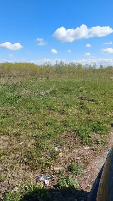 Участок в Ленинградская область, Лужский район, Заклинское с/пос, ... - Фото 2