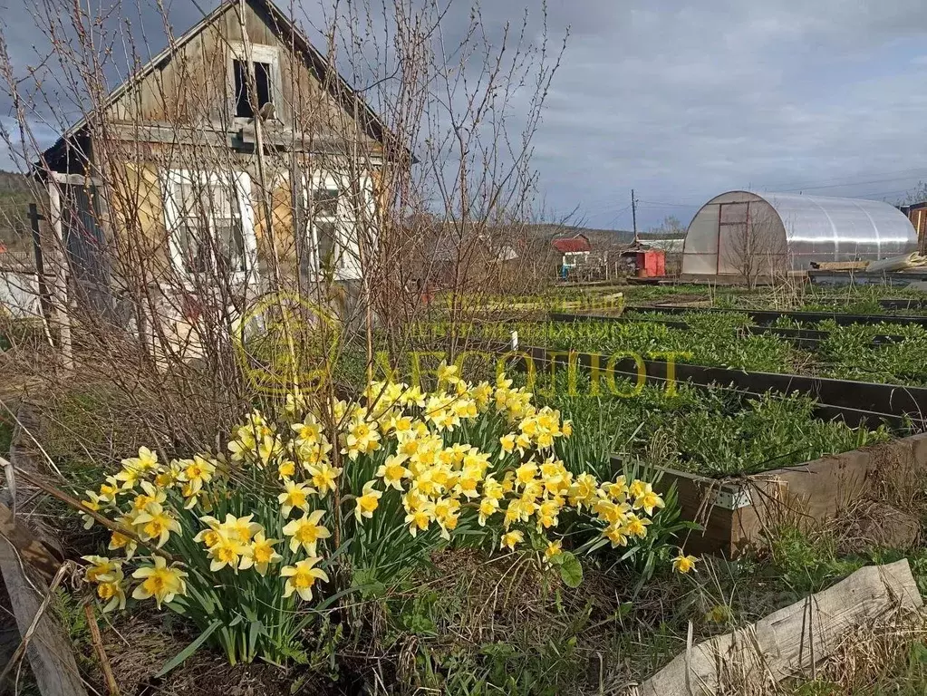 Дом в Свердловская область, Дегтярск  (12 м) - Фото 1