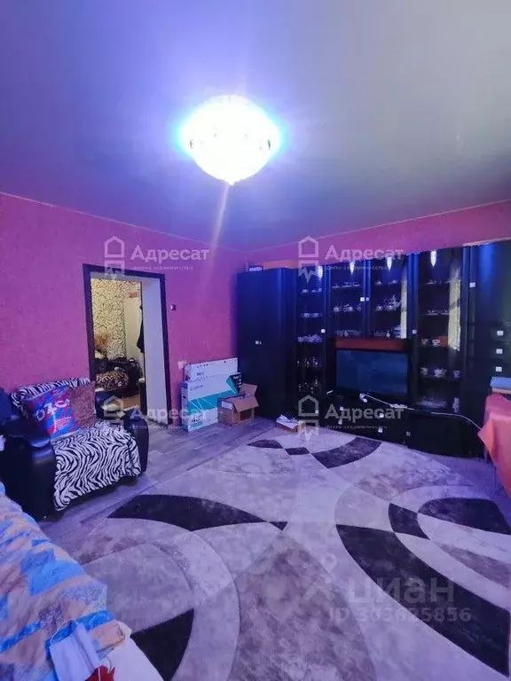 2-к кв. Волгоградская область, Волгоград ул. Воронкова, 27 (46.0 м) - Фото 2