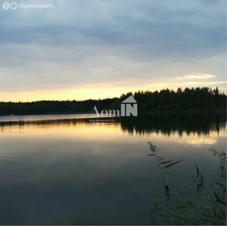 Участок в Куйвозовское сельское поселение, садоводческое ... - Фото 0