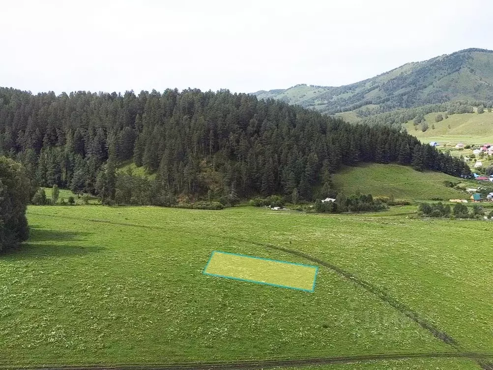 Участок в Алтай, Майминский район, с. Александровка ул. Ак-кырланская, ... - Фото 2