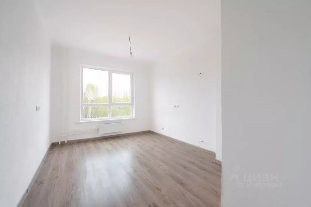 Студия Ярославская область, Ярославль ул. Дядьковская, 16А (21.3 м) - Фото 2