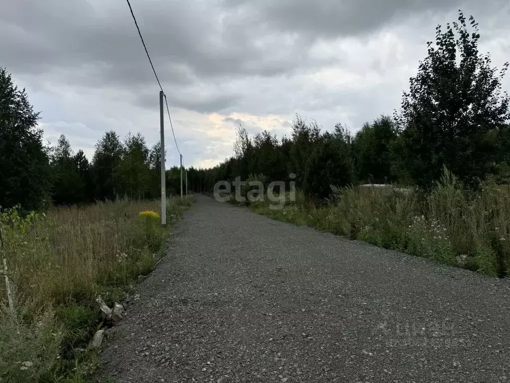 Участок в Кемеровская область, Кемеровский район, д. Солонечная ул. ... - Фото 1