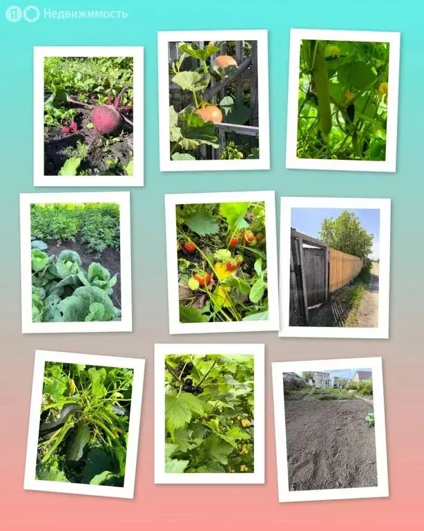 Участок в село Криводановка, Криводановские дачи, Гранитная улица (3.5 ... - Фото 2