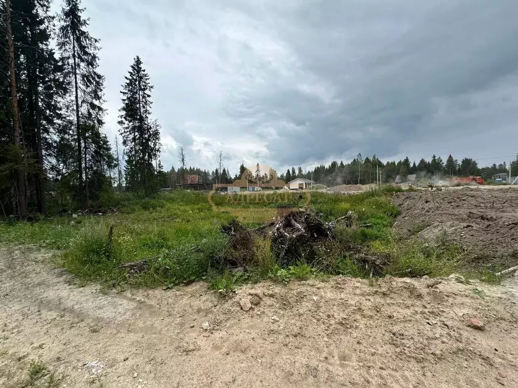 Участок в Ленинградская область, Всеволожский район, Агалатовское ... - Фото 0