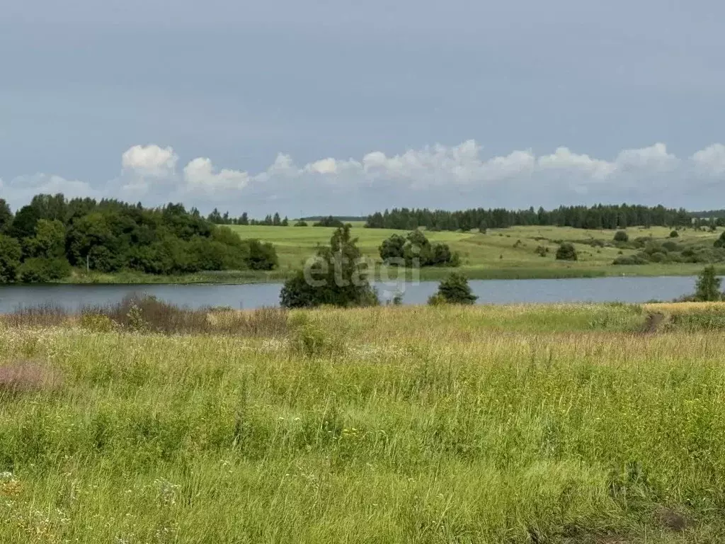 Участок в Брянская область, Выгоничи рп  (2200.0 сот.) - Фото 0