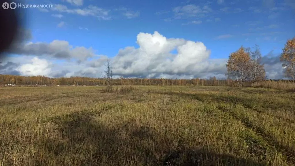 Участок в деревня Берёзовка, Центральная улица (440 м) - Фото 2