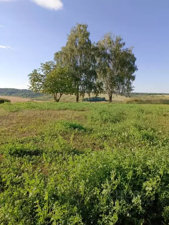 Участок в Нижегородская область, Нижний Новгород с. Варварское, ул. ... - Фото 1