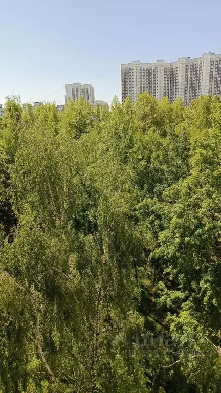 1-к кв. Москва ул. Рокотова, 8К5 (33.0 м) - Фото 1
