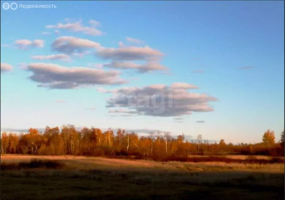 Участок в Республика Саха (Якутия), городской округ Якутск, село ... - Фото 1