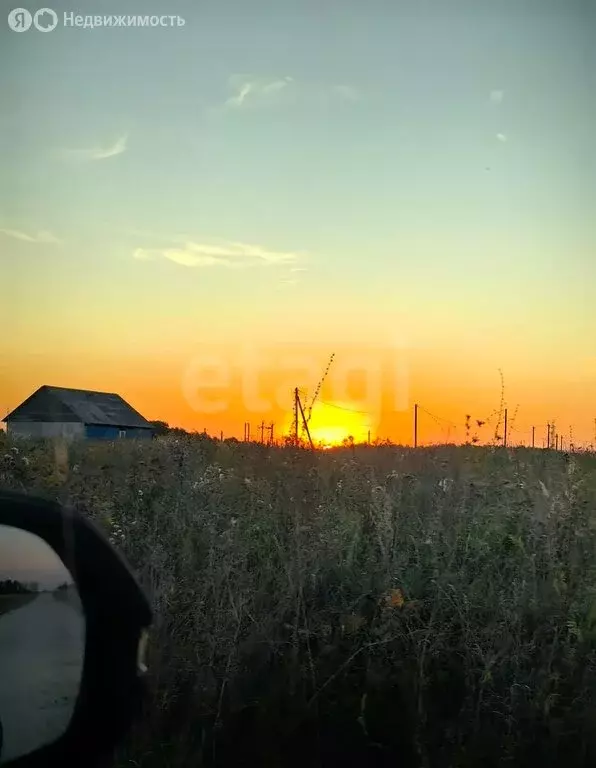 Участок в Заокский район, сельское поселение Демидовское (64000 м) - Фото 1