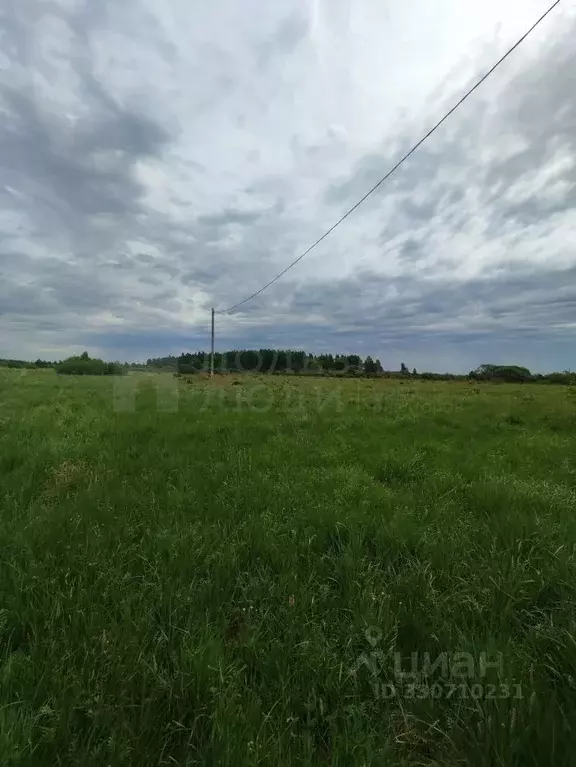 Участок в Новгородская область, Шимское городское поселение, д. Старый ... - Фото 2