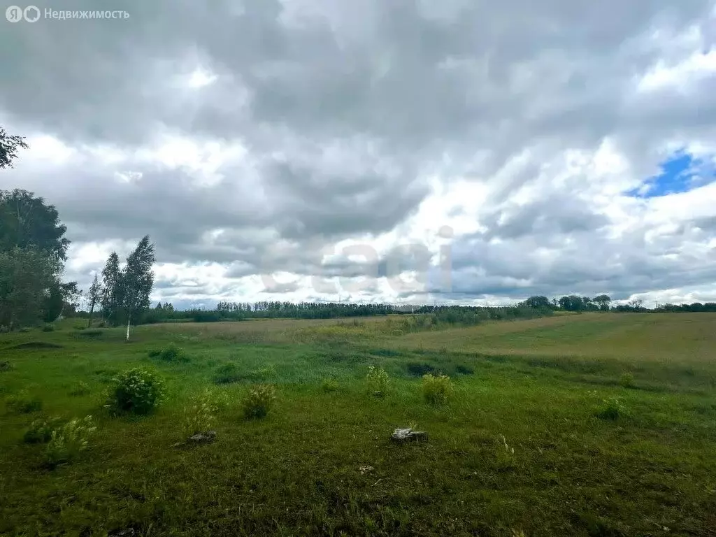 Участок в Выгоничский район, Кокинское сельское поселение, село Кокино ... - Фото 1