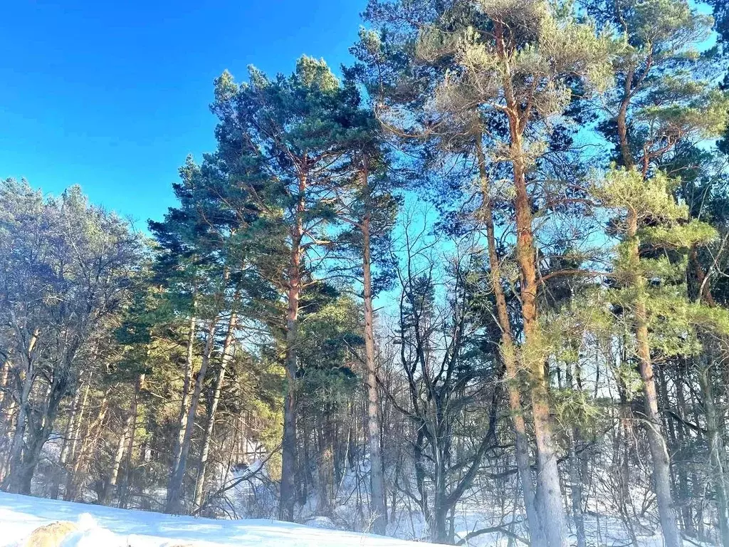 Участок в Тульская область, Алексинский район, с. Бунырево  (10.0 ... - Фото 1