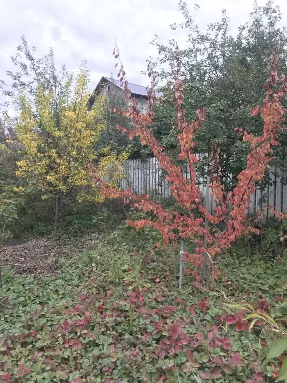 Участок в Самарская область, Самара 11-я линия, 58 (13.25 сот.) - Фото 1