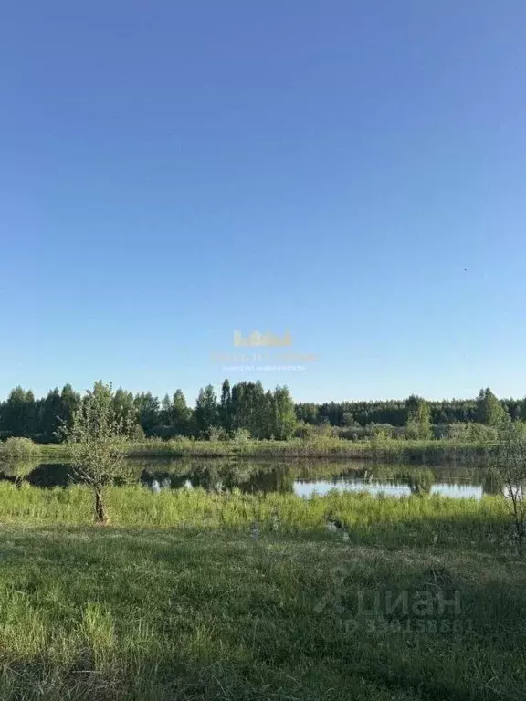 Участок в Татарстан, Лаишевский район, с. Егорьево Дачная ул., 21 ... - Фото 1