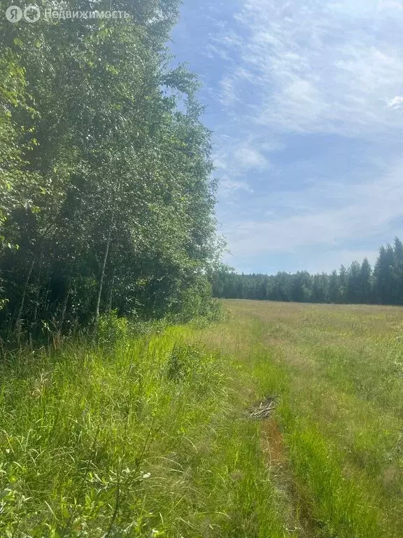 Участок в Мельниковское сельское поселение (2.8 м) - Фото 2