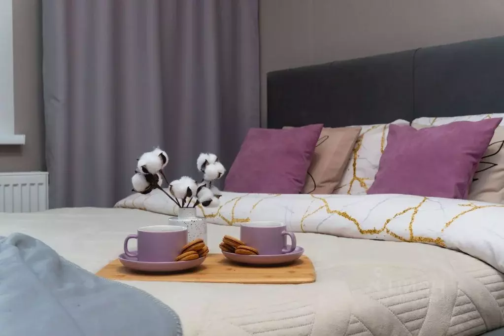 Студия Новосибирская область, Новосибирск ул. Аэропорт, 55/1 (26.0 м) - Фото 1