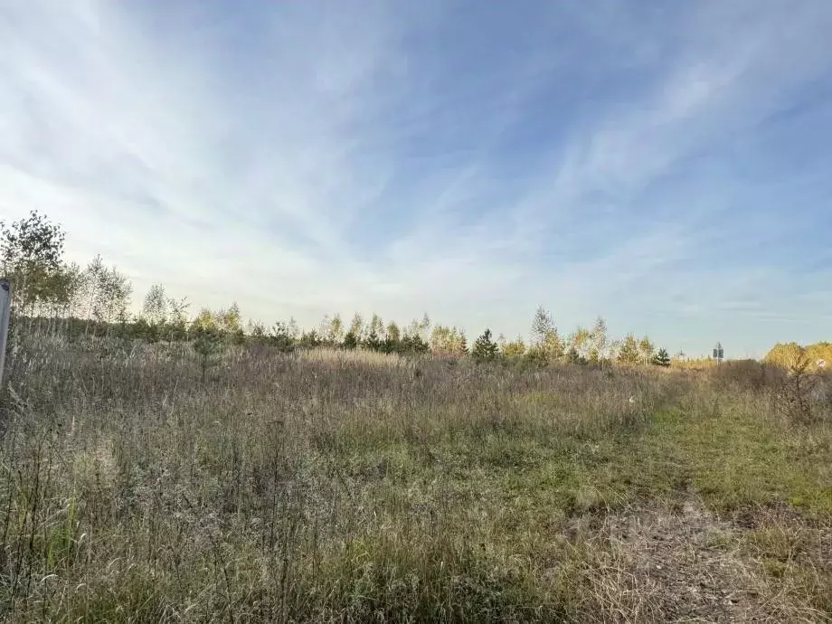 Участок в Татарстан, Зеленодольский район, Айшинское с/пос, с. ... - Фото 1