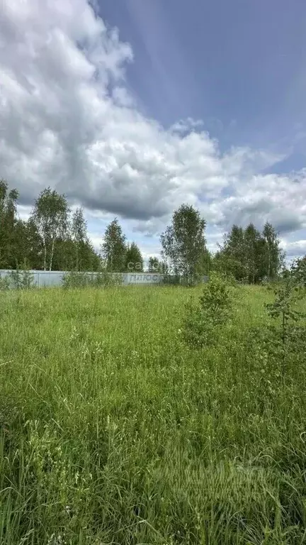 Участок в Московская область, Чехов муниципальный округ, д. Алексеевка ... - Фото 1