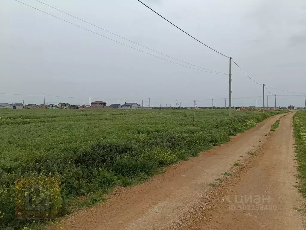 Участок в Крым, Сакский район, Молочненское с/пос, с. Витино ул. ... - Фото 0