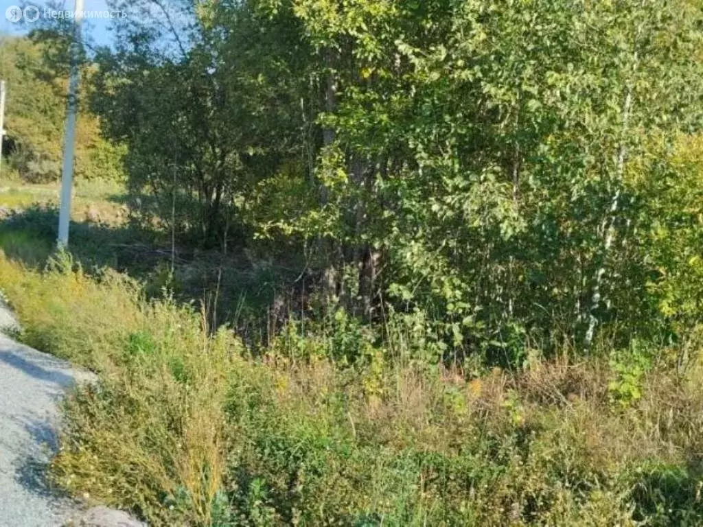 участок в приозерский район, кузнечнинское городское поселение, . - Фото 1