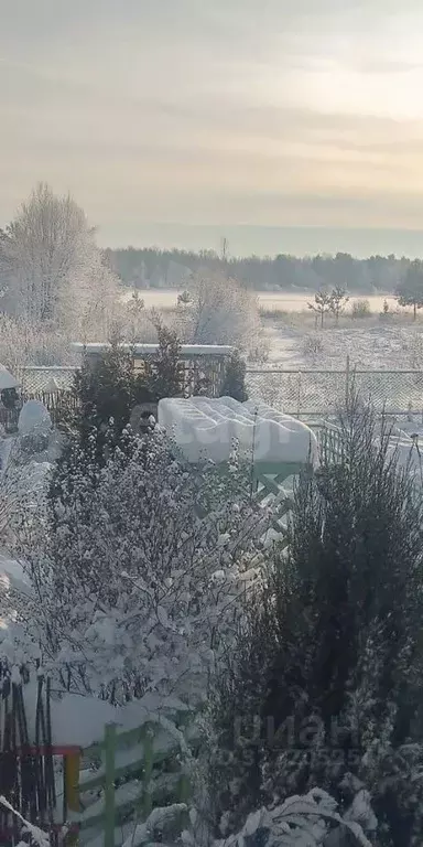 Дом в Ярославская область, Мышкинский муниципальный округ, д. ... - Фото 2