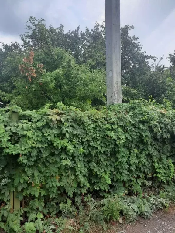 Участок в Ростовская область, Ростов-на-Дону Архитектурная ул., 43 ... - Фото 2