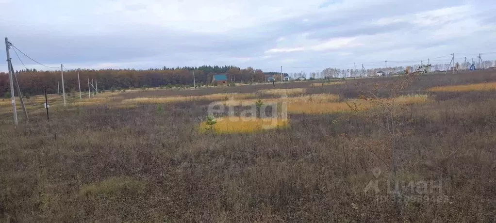 Участок в Ульяновская область, Ульяновск городской округ, с. Луговое ... - Фото 0