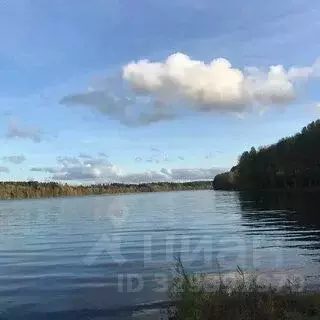 Участок в Ленинградская область, Приозерский район, Красноозерное ... - Фото 2