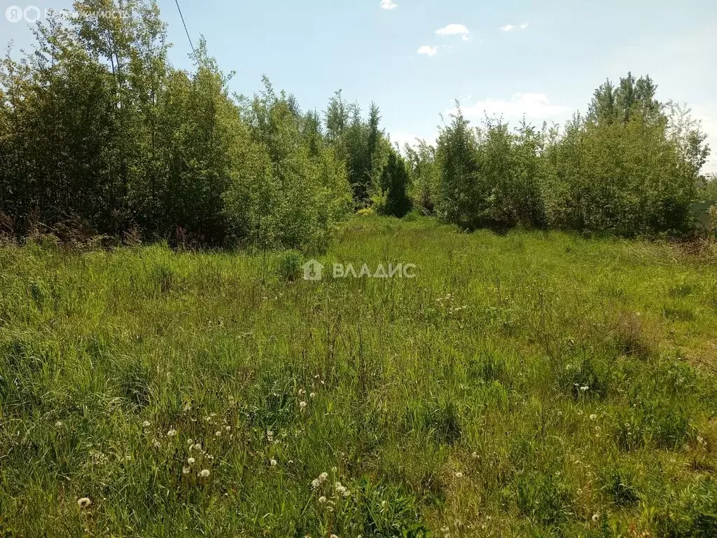 Участок в деревня Дровосеки (15 м) - Фото 1