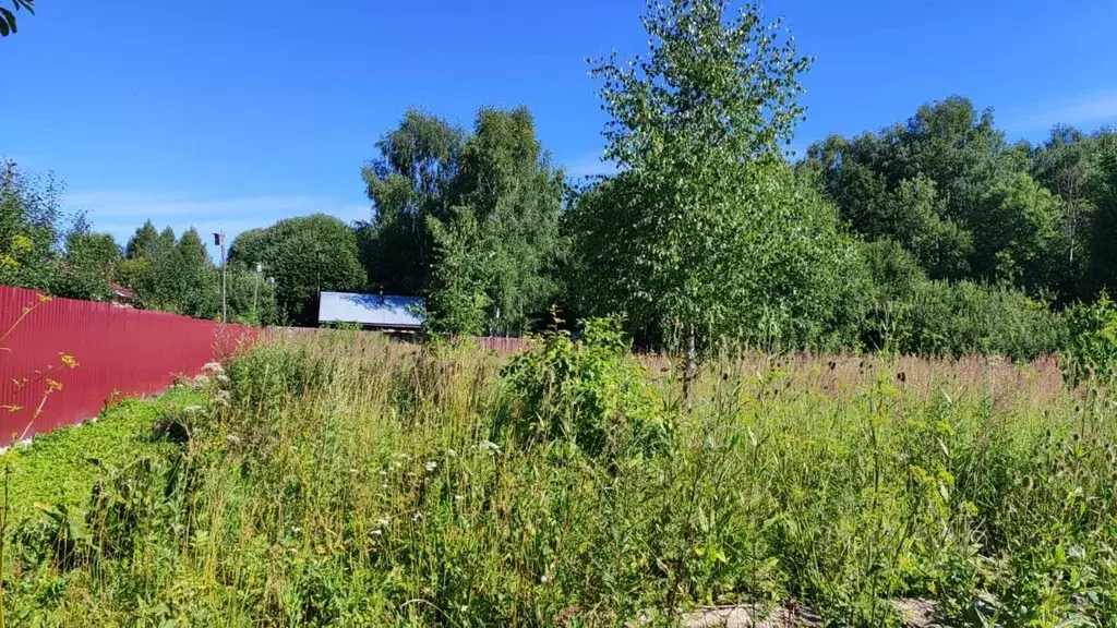 Участок в Московская область, Домодедово городской округ, с. Добрыниха ... - Фото 2