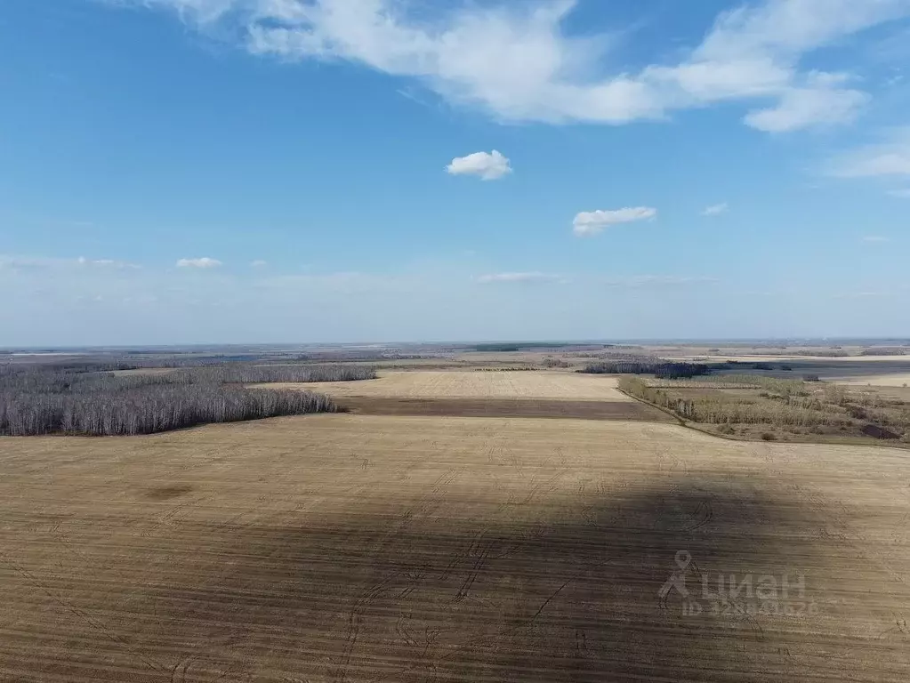 Участок в Челябинская область, Аргаяшский муниципальный округ  (99.0 ... - Фото 1