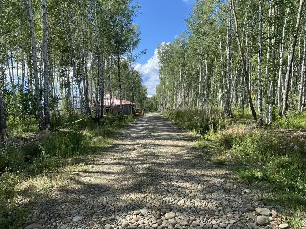 Участок в Иркутская область, Иркутский муниципальный округ, пос. Новая ... - Фото 1