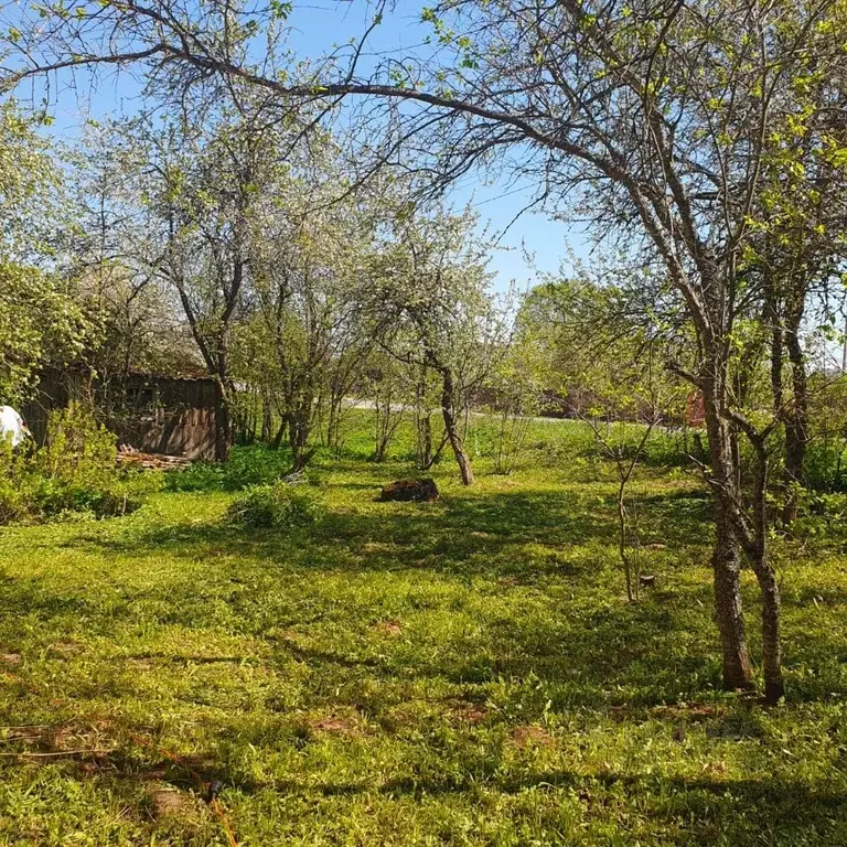 Дом в Псковская область, Порховский муниципальный округ, д. Щучно  (34 ... - Фото 2