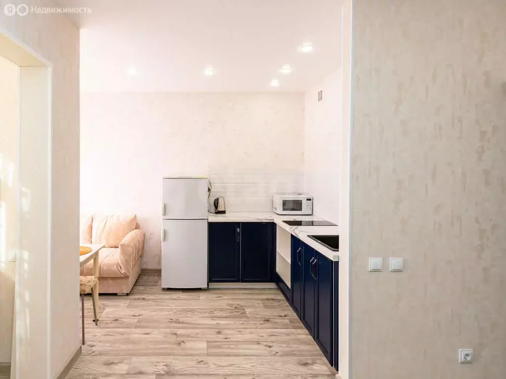 Квартира-студия: Патрушева, улица Александра Пушкина, 8 (23.4 м) - Фото 2