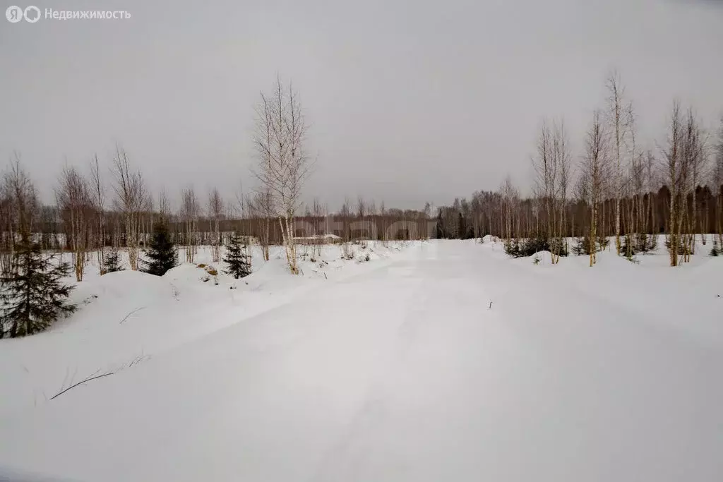 Участок в Вологодский муниципальный округ, деревня Жилино, 4-я улица ... - Фото 1