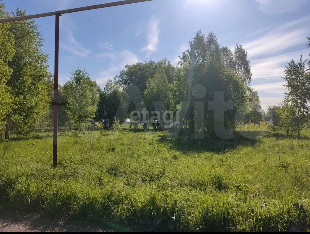 Участок в Новосибирская область, Новосибирский район, Кудряшовский ... - Фото 0