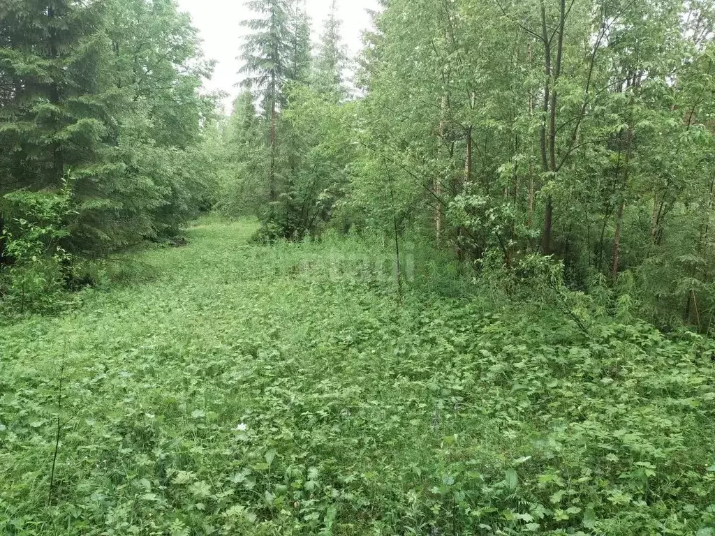 Участок в Свердловская область, Нижний Тагил городской округ, пос. ... - Фото 0