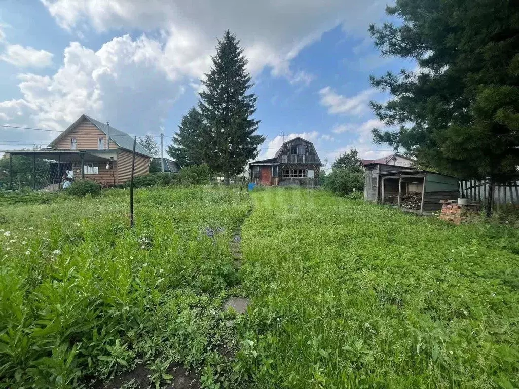 Участок в Новосибирская область, Новосибирск Золотая Горка СНТ, аллея ... - Фото 2