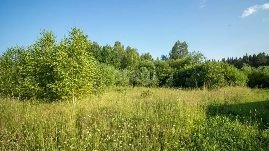 Участок в Томская область, Томский район, с. Корнилово, Красная горка ... - Фото 0