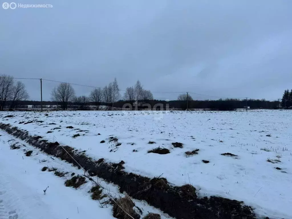 Участок в Кузнечихинское сельское поселение, село Гавшинка (6 м) - Фото 0