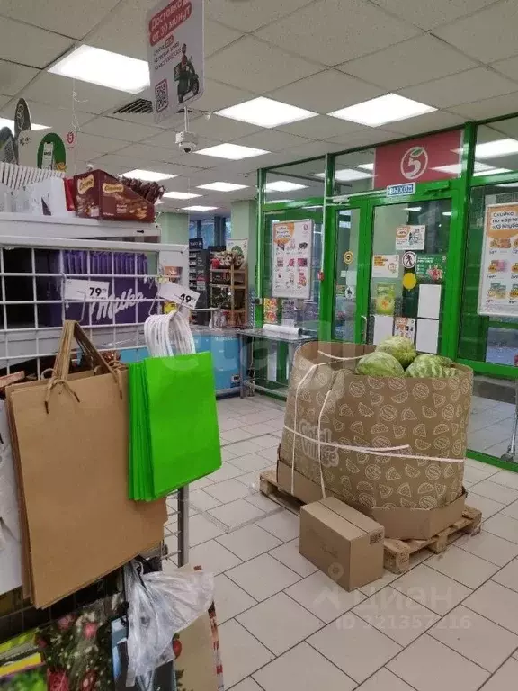 Торговая площадь в Пермский край, Соликамск ул. Пушкина, 1 (570 м) - Фото 1