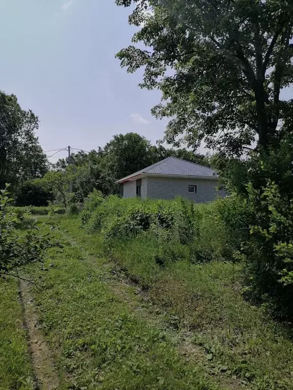 Дом в Хабаровский край, Хабаровск  (25 м) - Фото 1