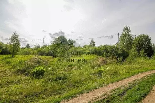 Участок в Свердловская область, Тугулымский городской округ, с. ... - Фото 0