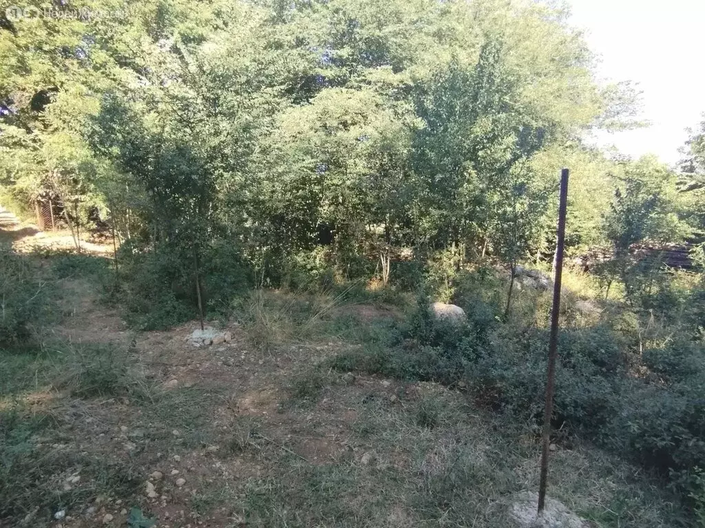 Участок в Орлиновский муниципальный округ, село Родниковое (10 м) - Фото 1
