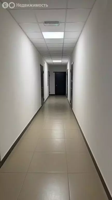 Квартира-студия: Мурино, Ручьёвский проспект, 20 (23.6 м) - Фото 1