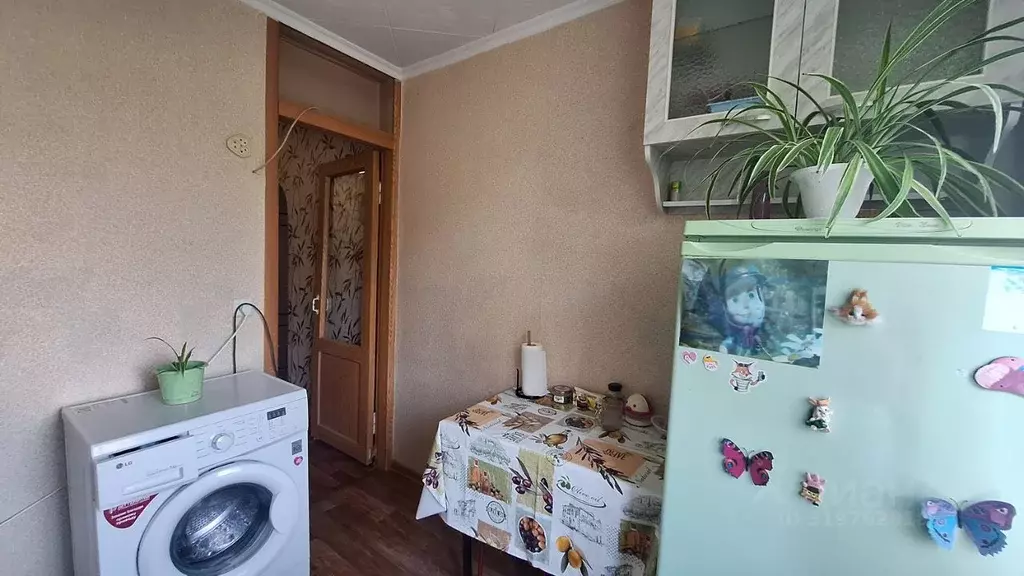 1-к кв. Краснодарский край, Тихорецк ул. Калинина, 103Б (29.4 м) - Фото 1