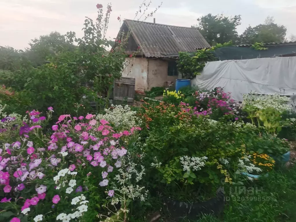 Дом в Саратовская область, Энгельсский район, с. Красный Яр ул. Карла ... - Фото 0