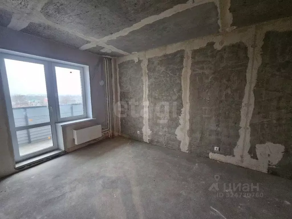 1-к кв. Псковская область, Псковский район, Писковичская волость, д. ... - Фото 1